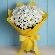 Букет цветов из:  Хризантемы в Сафоново Смоленской области