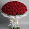 Букет 101 Красная роза Блэк Мэджик в Сафоново Смоленской области