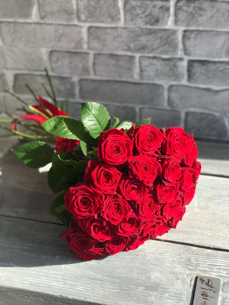 Букет Красные розы Фридом в Сафоново Смоленской области