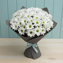 Букет цветов из:  Хризантемы #REPLACE_PRED# Сафоново Смоленской области