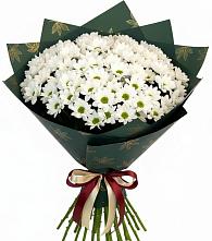 Букет цветов из:  Хризантемы в Сафоново Смоленской области