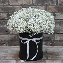Цветочная композиция из Гипсофила в шляпной коробке в Сафоново Смоленской области