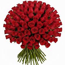 Букет Красные розы Чери Лав #REPLACE_PRED# Сафоново Смоленской области